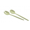 Couverts à salade tierra vert algue