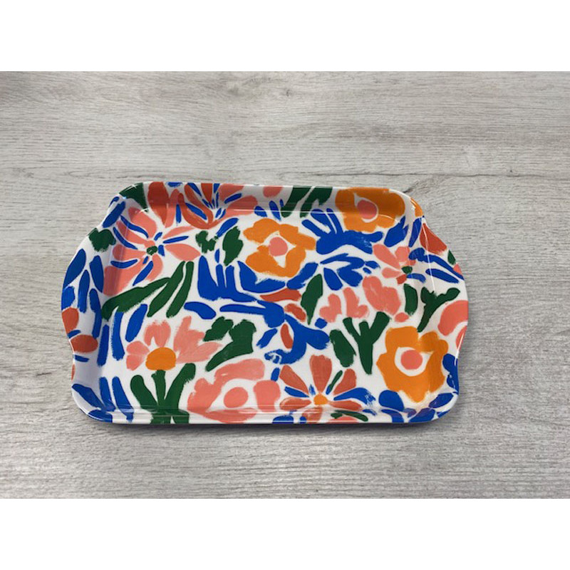 Plateau pictural DLP