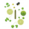 Recharge crayon coriandre/citron vert OCNI