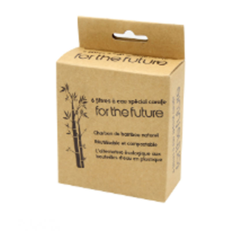 Filtre à eau au charbon chevalier