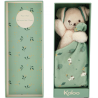 doudou chien vert