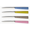 Coffret 4 couteaux bon app CAMPAGNE OPINEL